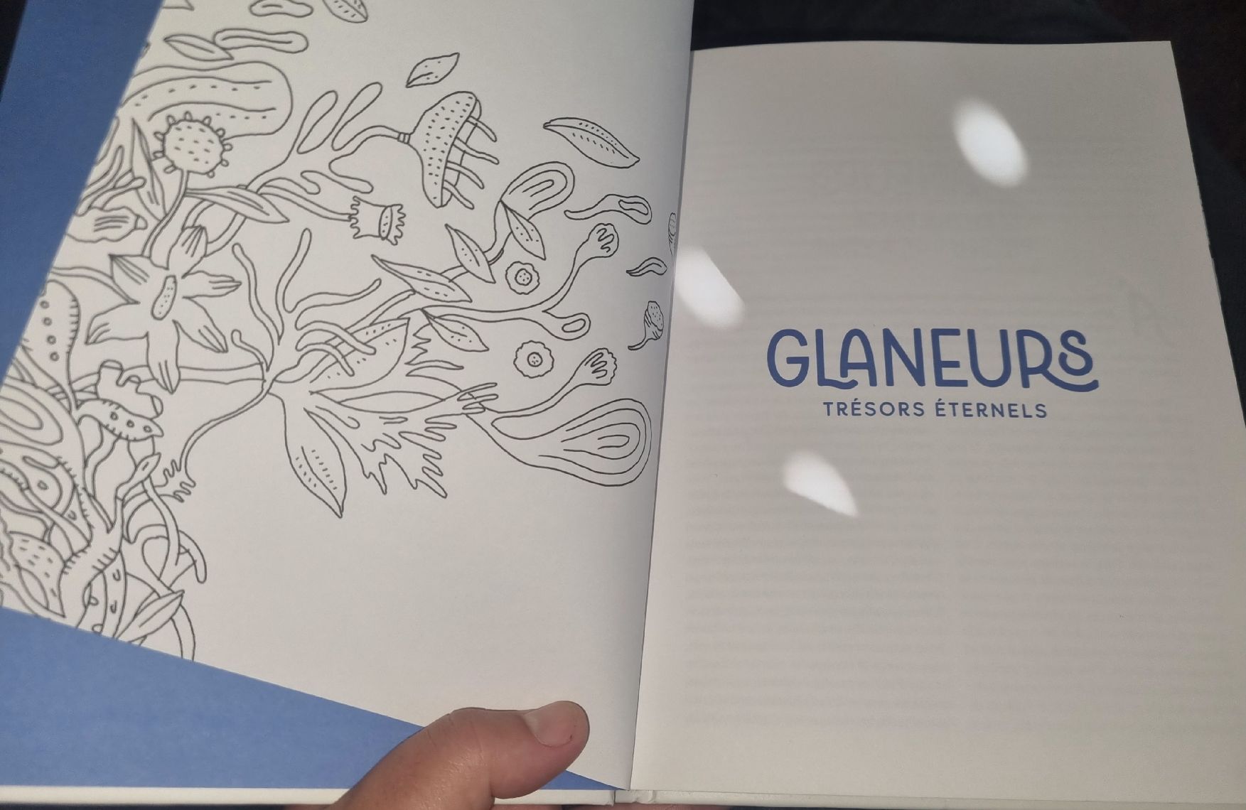Libri: Livre Glaneurs Trésors Éternels avec CD  – Usato da Fribourg venduto da sal_5ln6 5