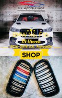 BMW Nieren X6 er Serie F16 M Color Kühlergrill Grill Neu