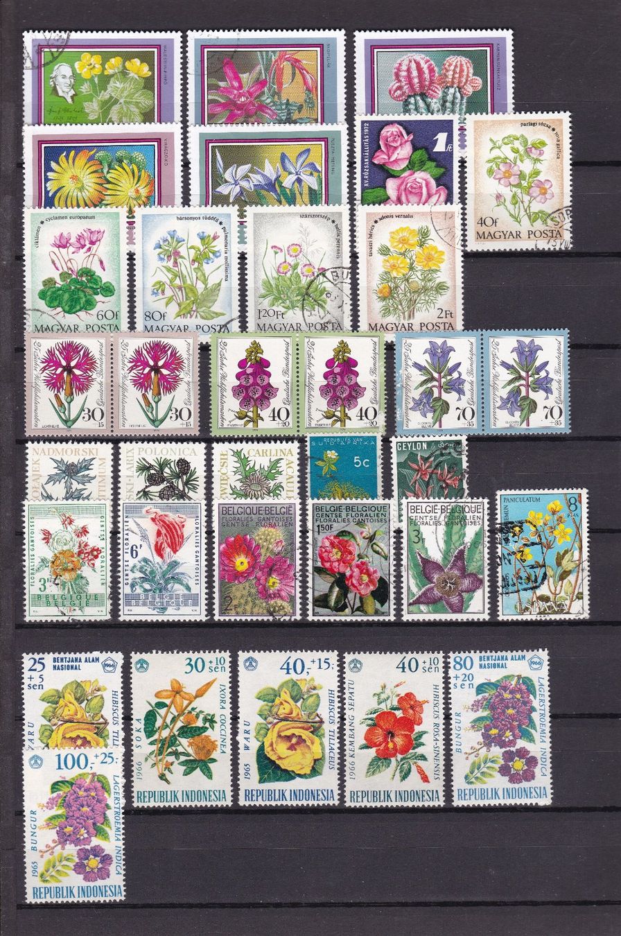 Tutti i francobolli: Motiv-Sammlung BLUMEN – Usato da Gretzenbach venduto da Sikim 3