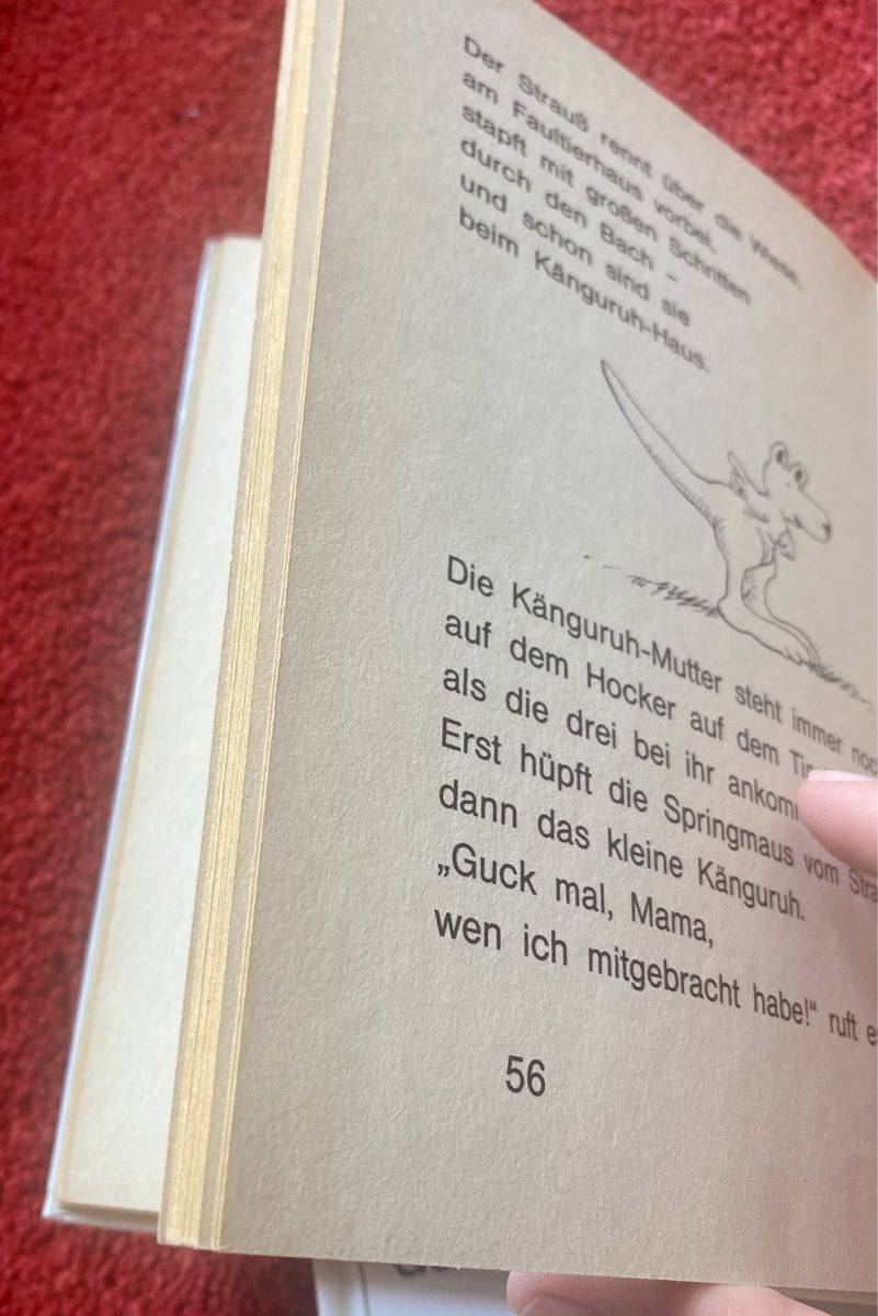 Libri: Kinderbücher für Leseanfänger – Usato da Schlieren venduto da kaj_xvx7 1