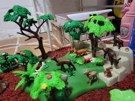 Lot Playmobil forêt 