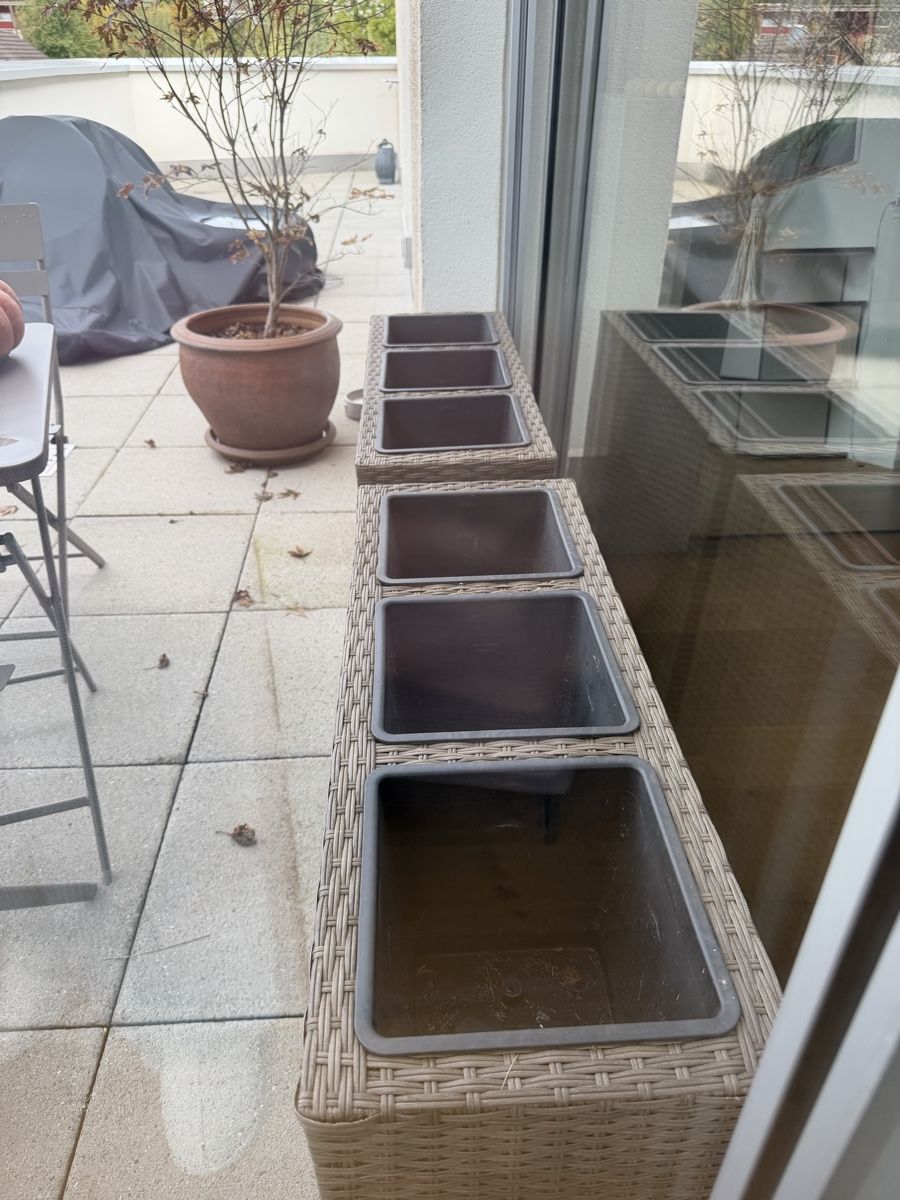 Blumentöpfe: Rattan Hochbeet-Blumentöpfe – Gebraucht aus Stetten AG von tanjazim42 2