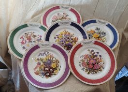 6 assiettes Royal Horticultural Society