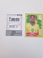 Panini Sticker BRA8