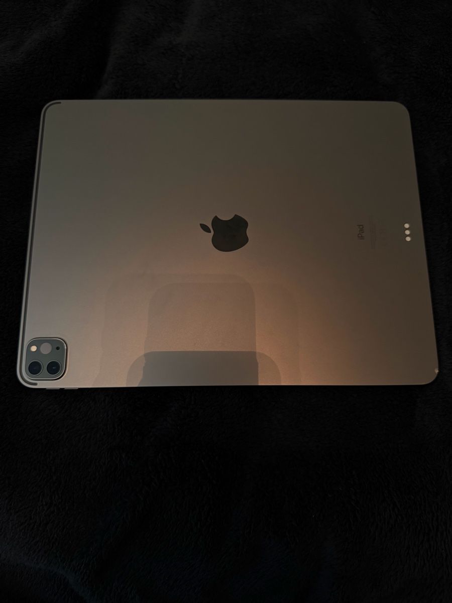 Apple Tablet PC: iPad 12,9 Zoll 512Gb Spacegrey – Usato da Rothenburg venduto da afe_c27m 2