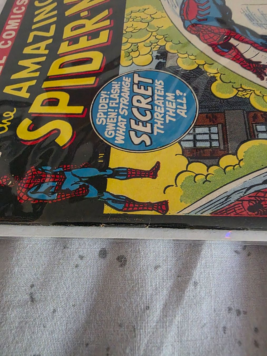 Comics: The Amazing Spider-Man #108 RAW 7.0 – Gebraucht aus Zürich von Sams_FunkoandComics_ 2