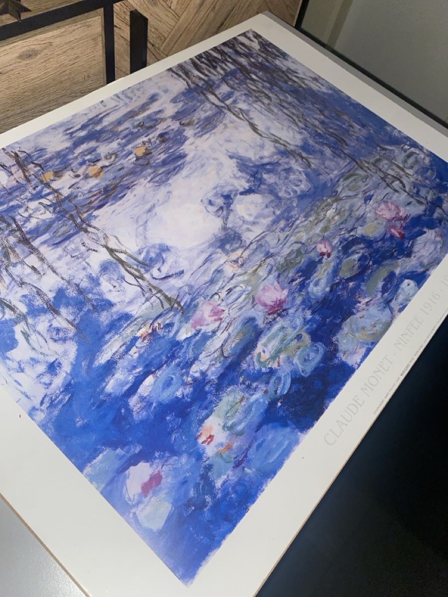 Foto & Immagini: Monet's Water Lilies Print – Usato da Dietikon venduto da Tdaf33 3