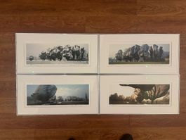 Christo und Jeanne-Claude Verhüllte Bäume (Wrapped Trees)