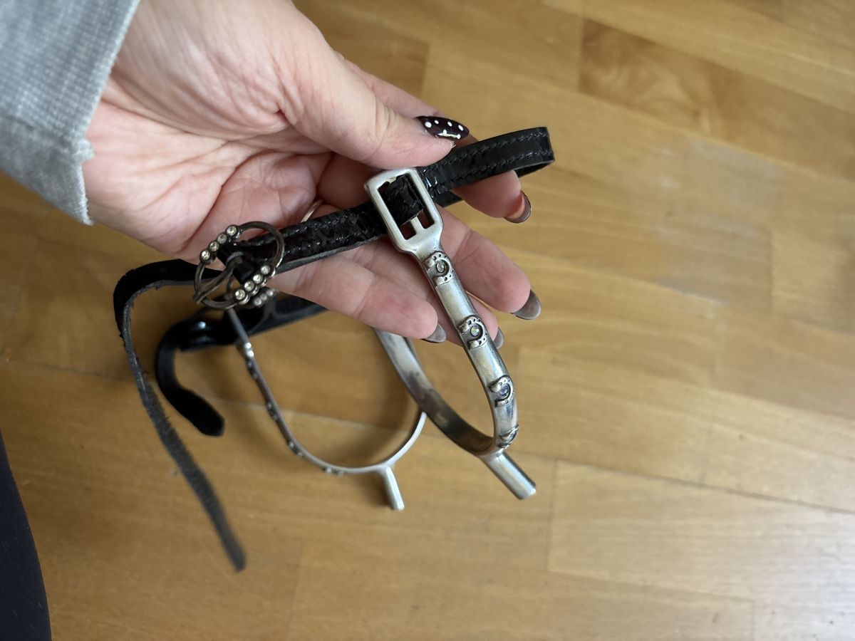 Selle & Accessori: Reitsport Sporen  – Usato da Hünenberg See venduto da lea_p679
