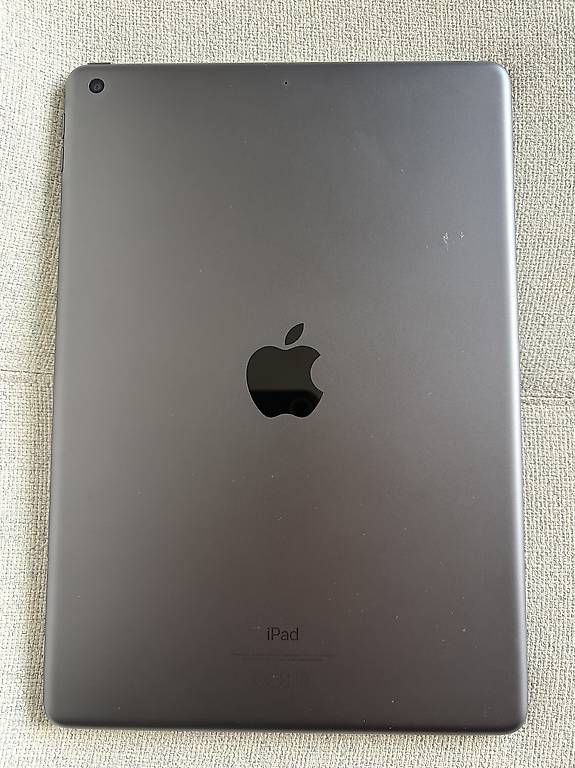 Tablet PC: iPad 7.Generation  – Usato da Dielsdorf venduto da digger181 1