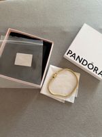 Pandora Charm Armband