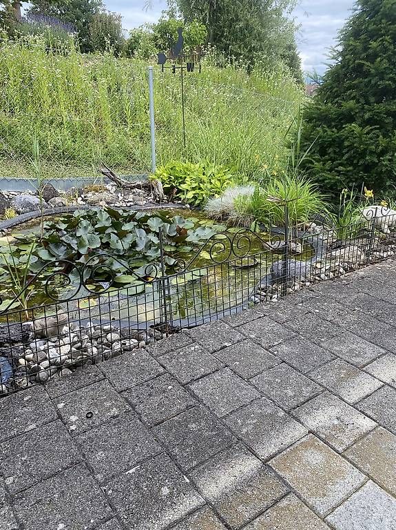 Altre Decorazioni per giardino: Belissa Rabattenzaun 40 Stück – Usato da Gempenach venduto da Mittelpudel 1