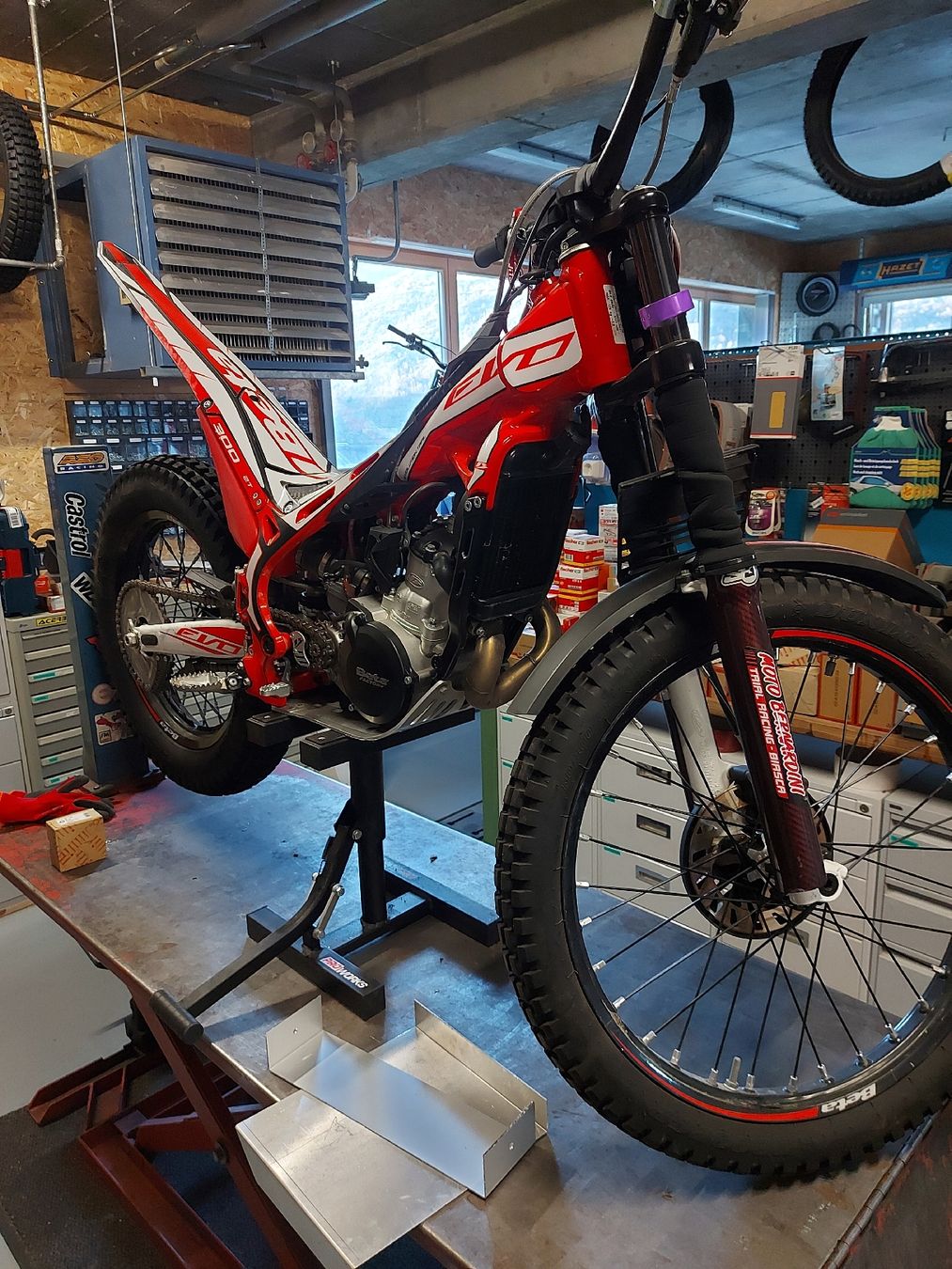 Enduro: Beta Evo 300 Trial – Gebraucht aus Glis von fragra 1