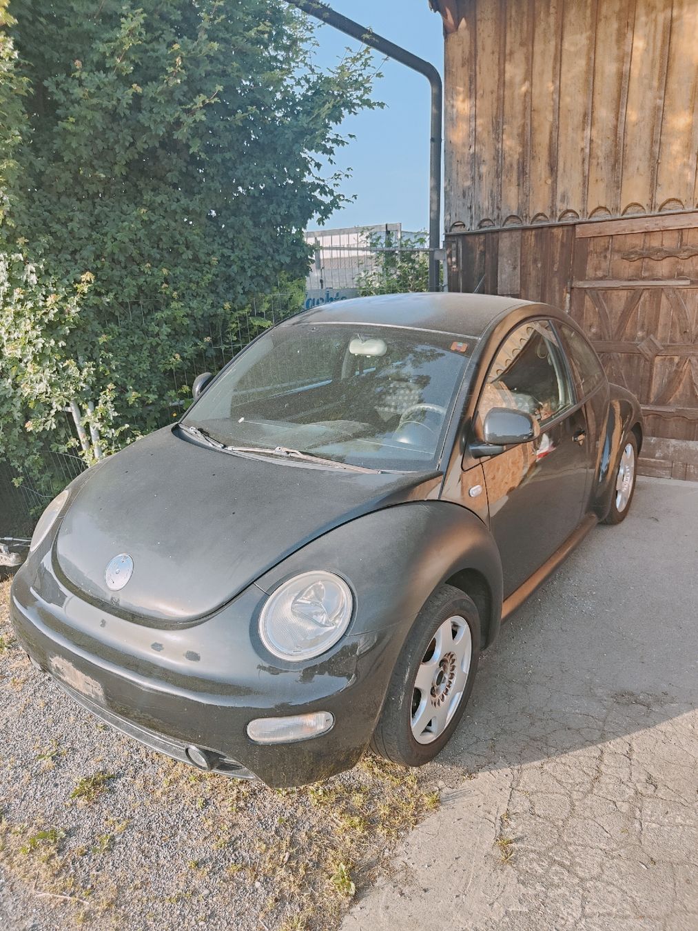 VW Automobili: VW New Beetle ab Fr.1.- mit MFK – Difettoso da Egnach venduto da MAKIdesign