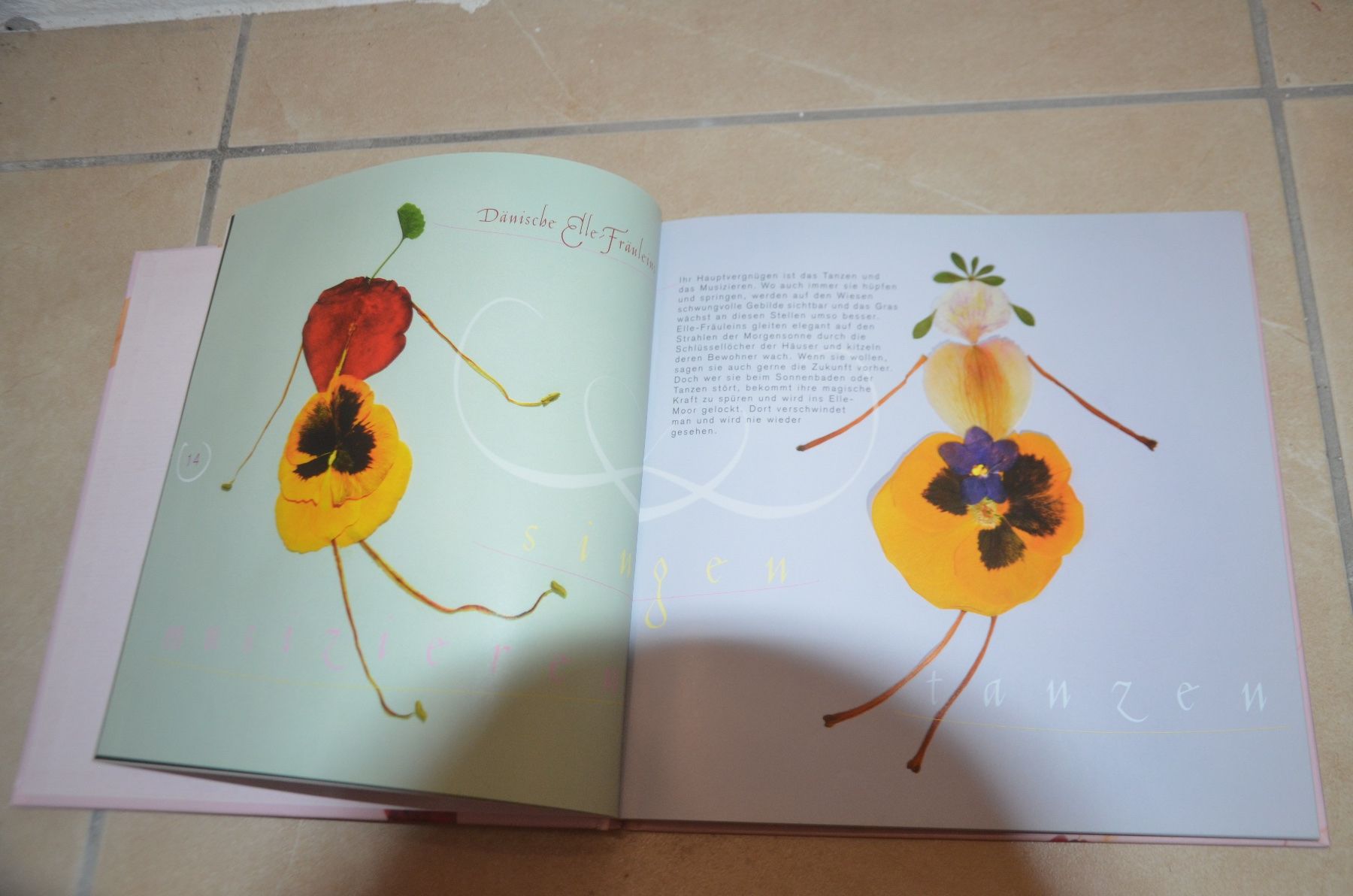 Bücher: BUCH - FEE TANZ – Gebraucht aus Chiasso von Dolly015 1
