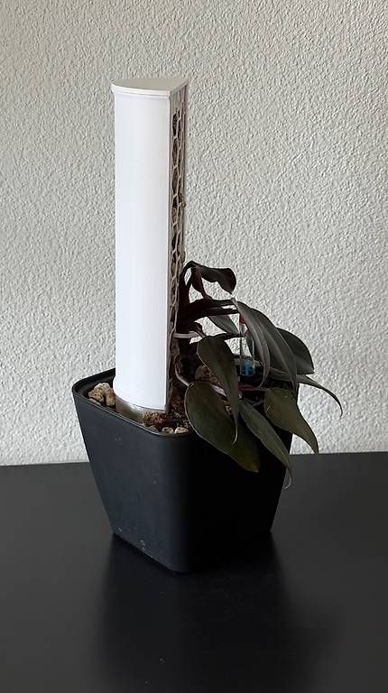 Piante & sementi: Philodendron Pink Princess Galaxy, 40cm, Mosspole – Usato da Aadorf venduto da Arkabraa 1