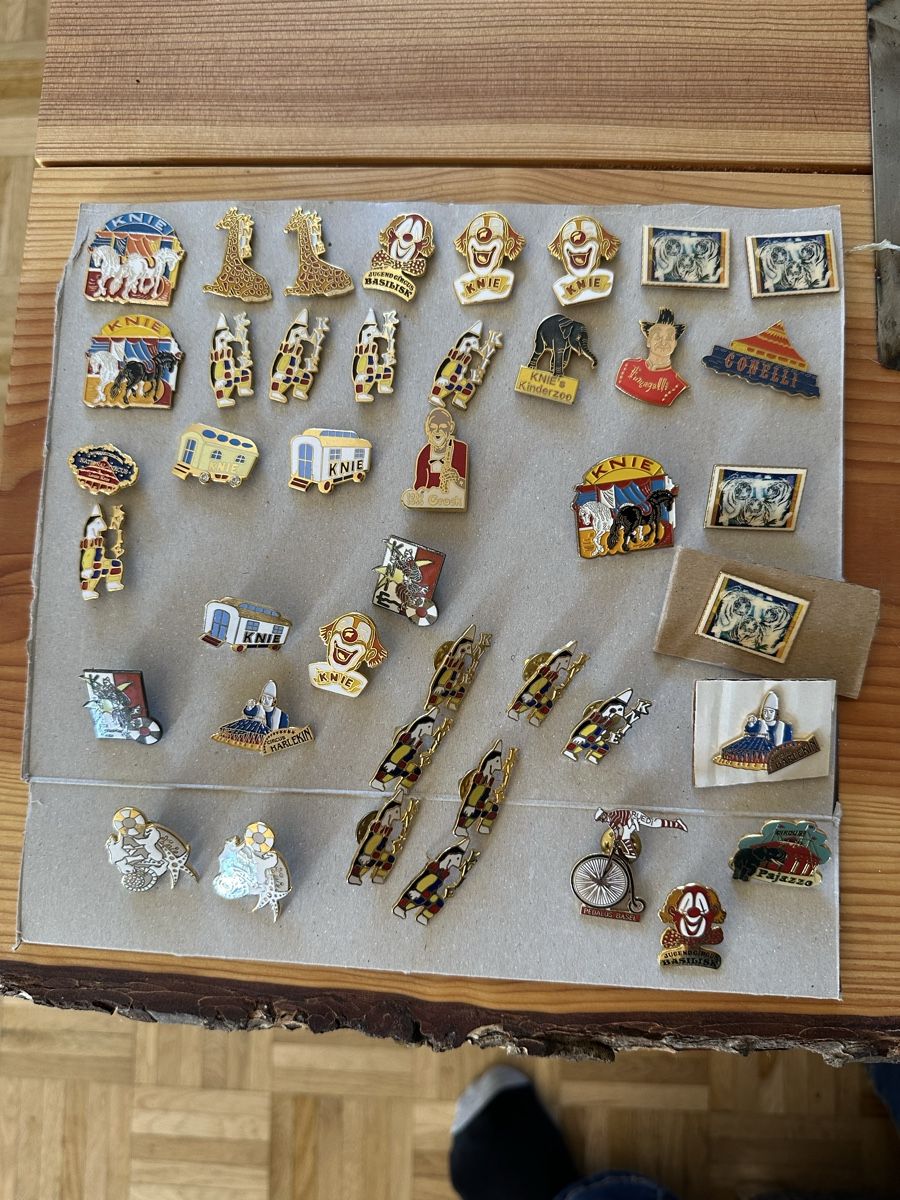Plaketten & Abzeichen: Zitkus pins – Gebraucht aus Waldkirch von RS_99 2