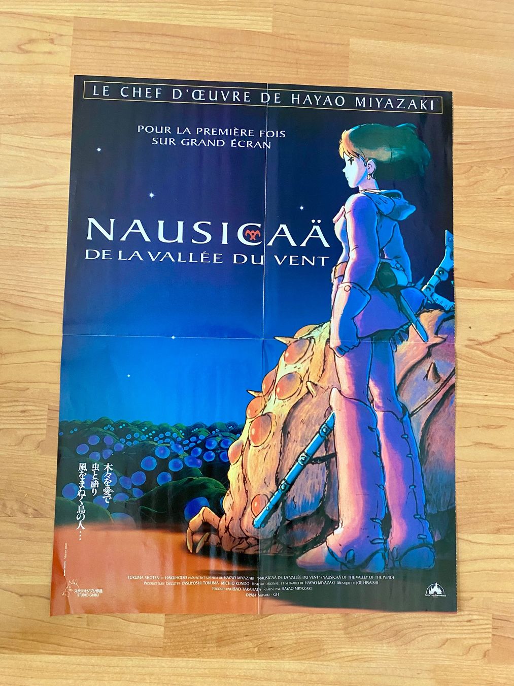 Foto & Immagini: Posters de cinéma – Usato da Neuchâtel venduto da duprazs 5