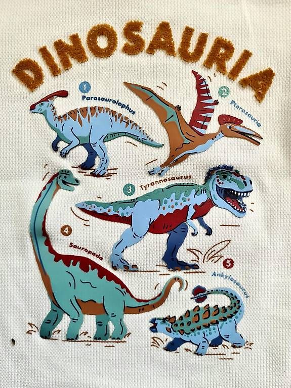 Maglioni & Felpe: Sergent Major Shirt Dinosaurier, Gr. 122 – Usato da Muri b. Bern venduto da SPF01 1