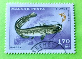 Briefmarken aus Ungarn gestempelt Siehe Original Fotos. 