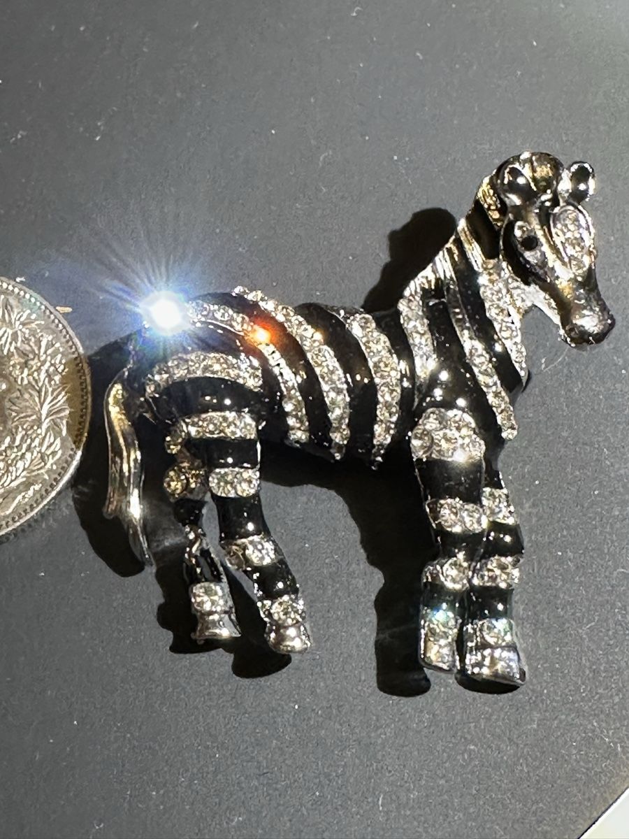 Spille & Fermagli: Brosche Zebra mit Strasssteinen – Nuovo (secondo la descrizione) da Trüllikon venduto da angela4444 6
