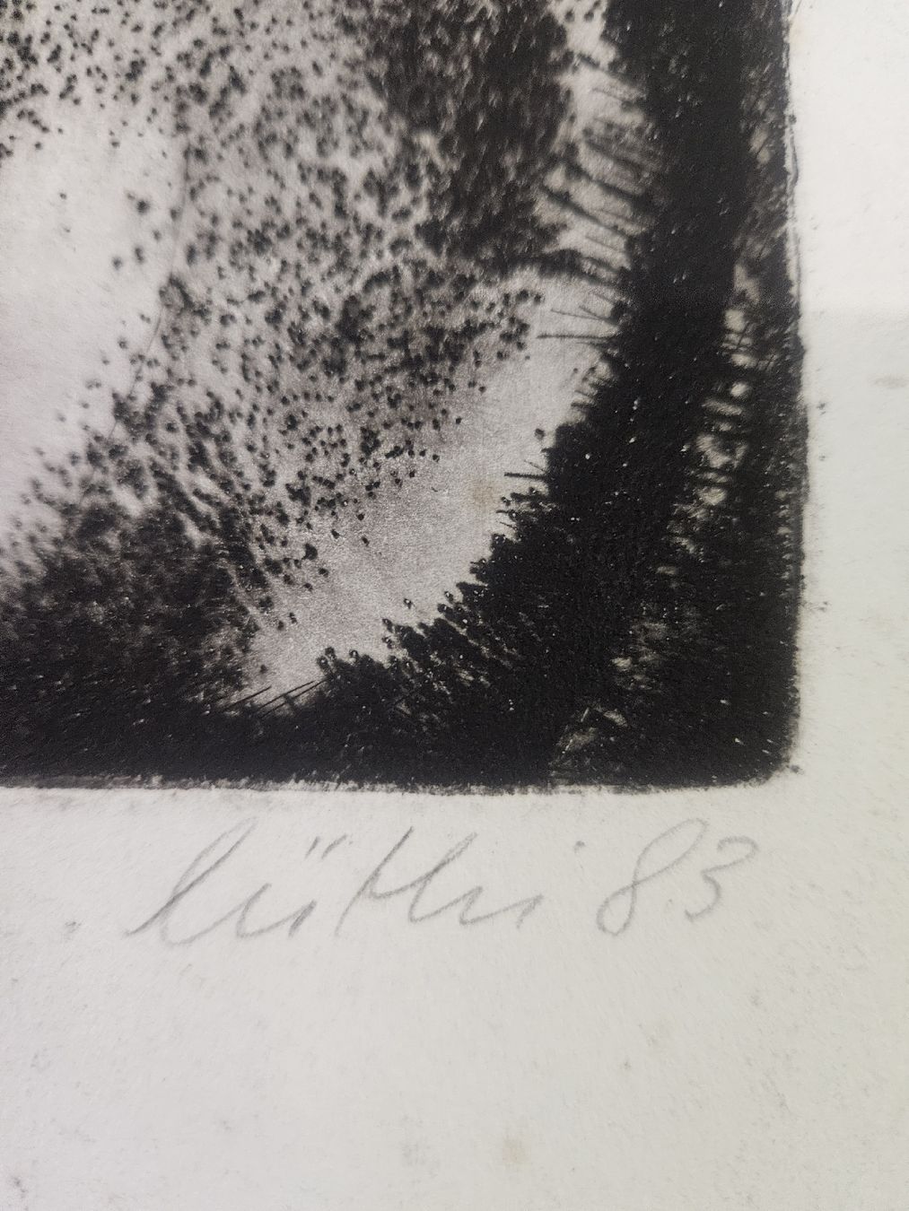 Foto & Immagini: bild handsigniert lüthi – Usato da Schwellbrunn venduto da Omega-alpha 3