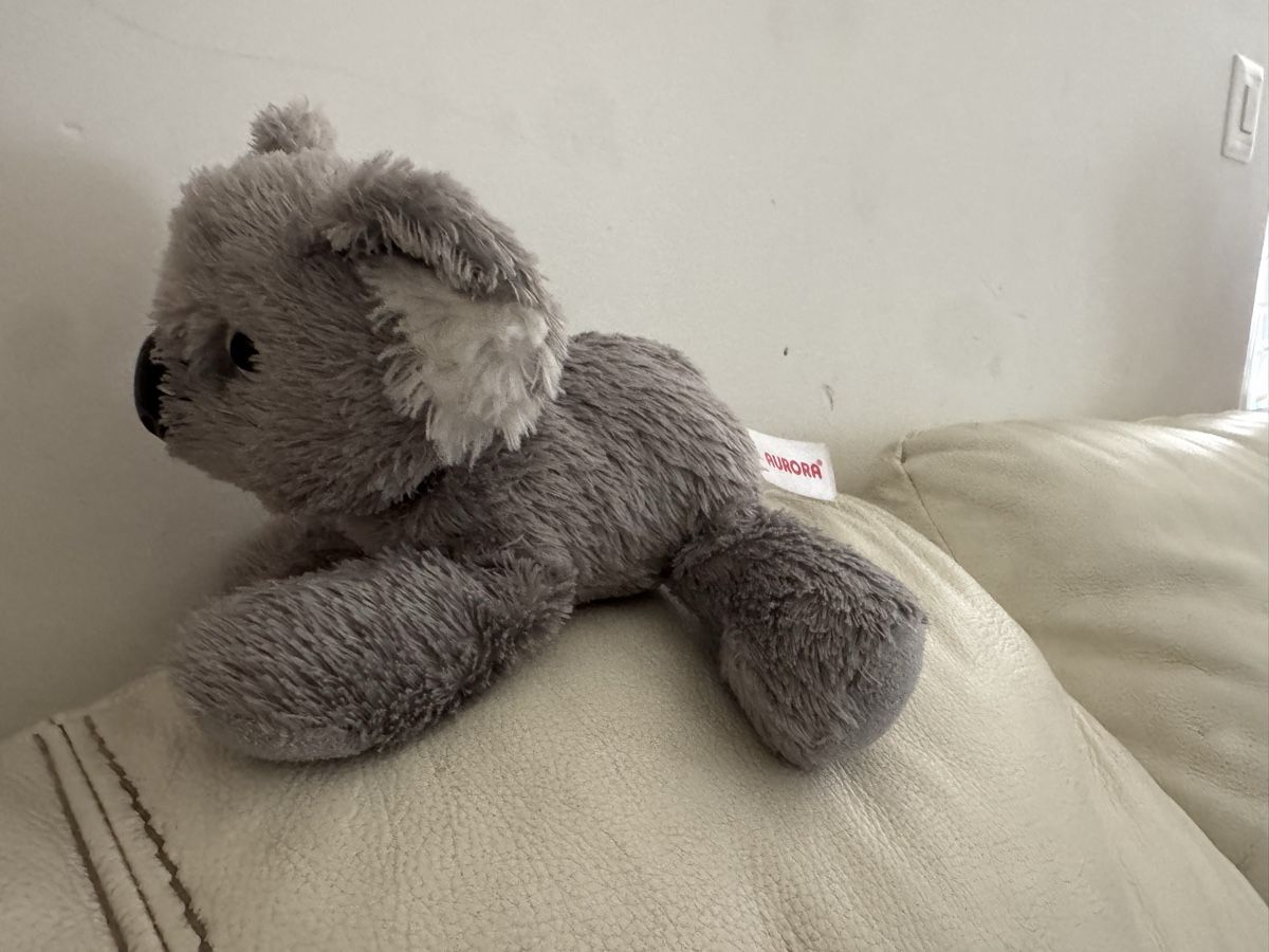 Giocattoli: Plush Koala Aurora toy good condition 
40 – Usato da Wohlen AG venduto da bongo8nunu 1