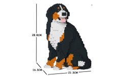 Jekca Berner Sennenhund, Klemmbausteine