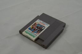 Anticipation NES Spiel