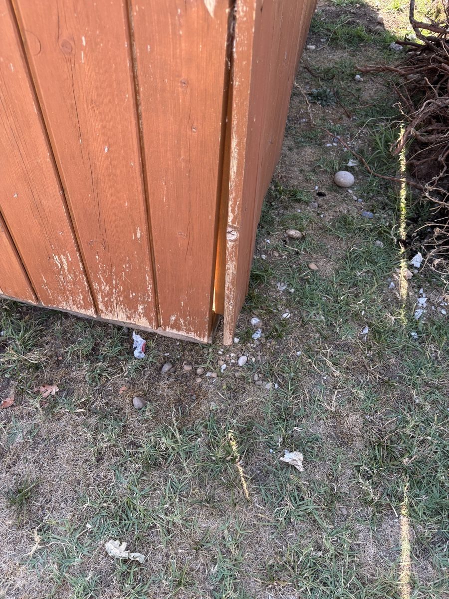 Casse di trasporto: Kiste aus Holz – Usato da Bubikon venduto da Thebasi 5