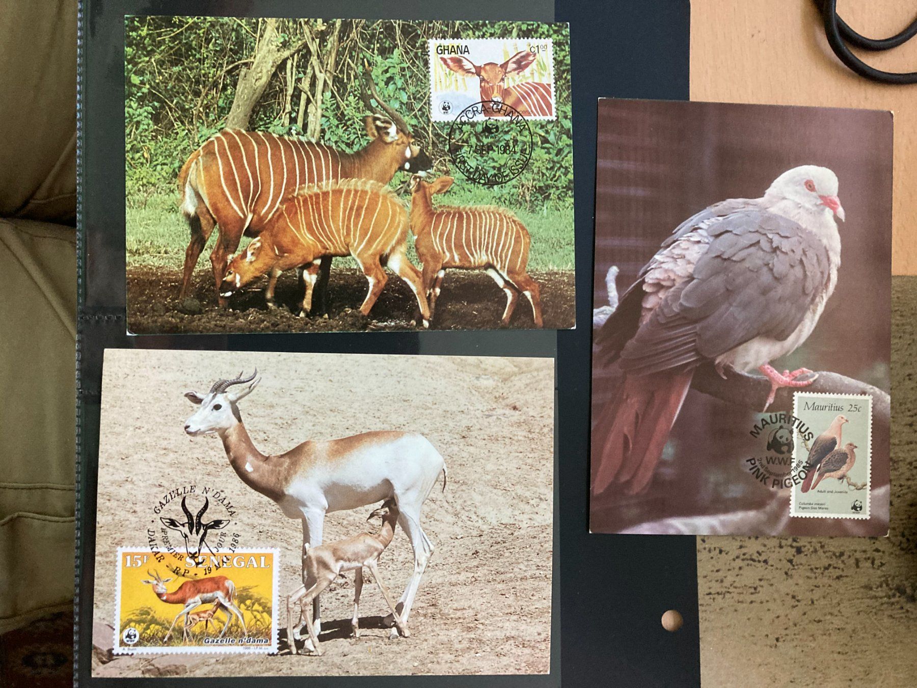 Alle Briefmarken: WWF 1984/86 Lot 5 Maximumkarten Pelikan Okapi Taube Bongo – Neu (gemäss Beschreibung) aus Winterthur von schnueps
