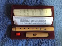 Holzflöte mit Etui und Grifftabelle - Top Zustand!