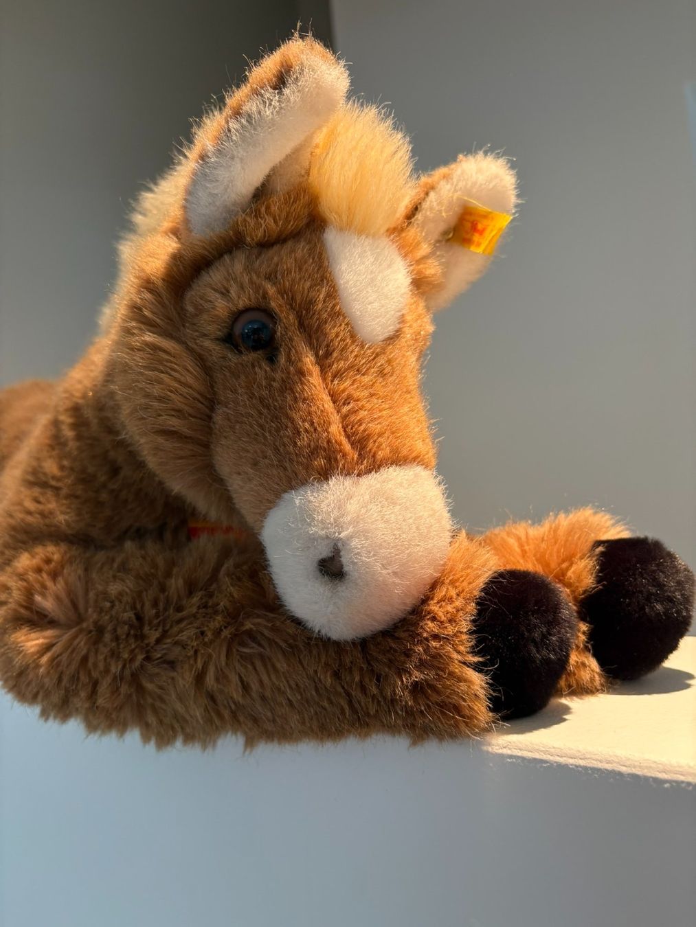 Steiff Spielzeuge: STEIFF Pony Pferd Fohlen Molly – Neu (gemäss Beschreibung) aus Egg b. Zürich von eve_h8pg 4