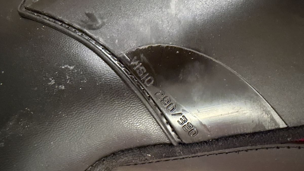 Scarpe da uomo: Dalbello Skischuhe – Usato da Obfelden venduto da tan_9lj9 7