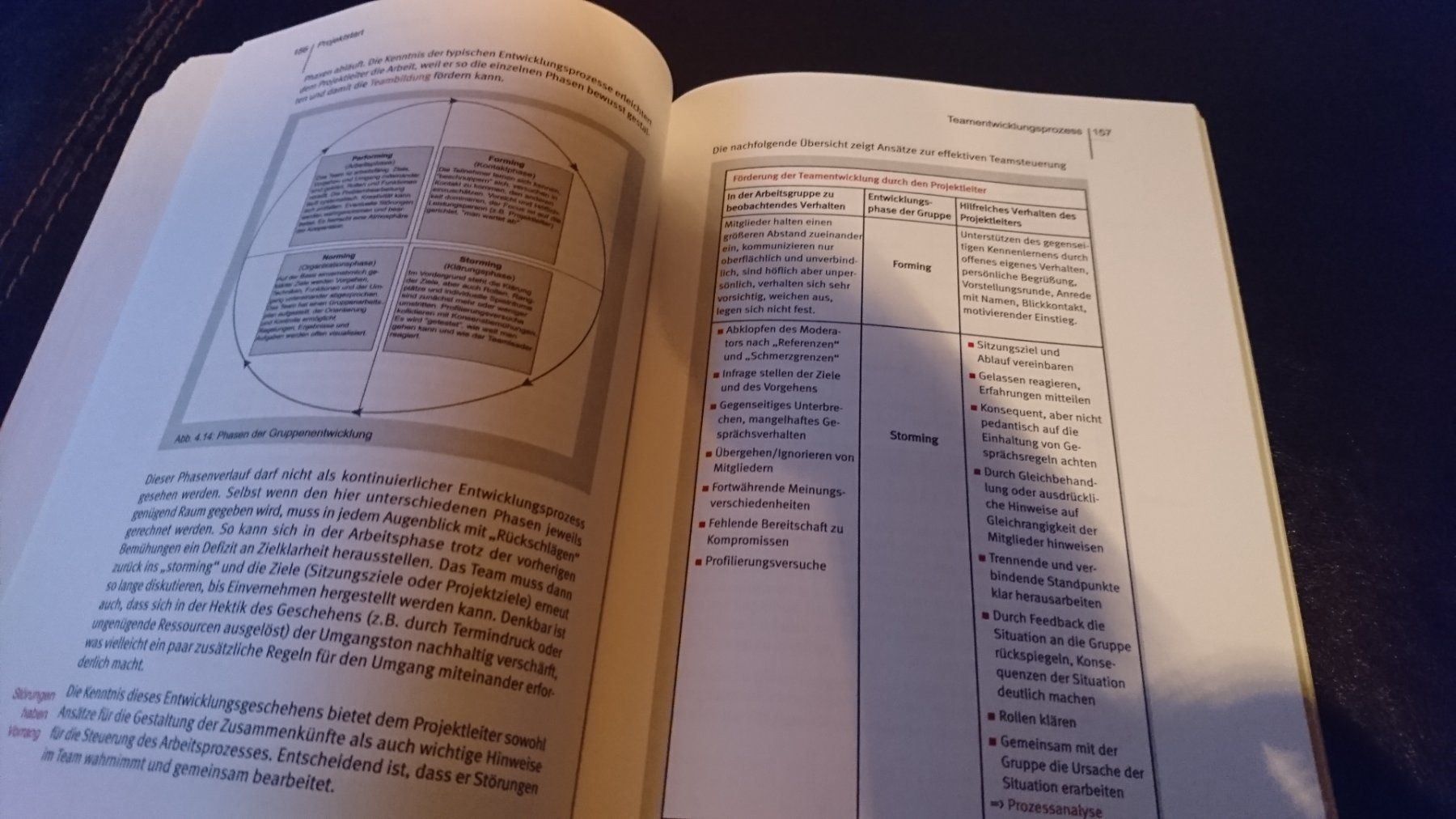 Libri: Ganzheitliches Projektmanagement – Usato da Remetschwil venduto da Privatflohmi 1