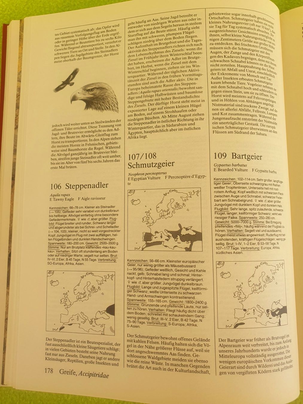 Bücher: Fotoatlas der Vögel – Gebraucht aus Steinhausen von joseph-sen 7