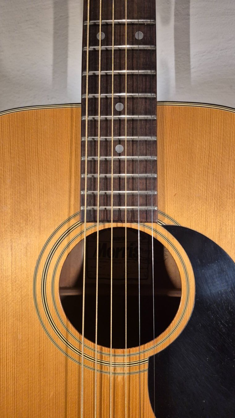 Strumenti musicali: Western Gitarre Morris F-301 – Usato da Winterthur venduto da NorrSydGuitars 4