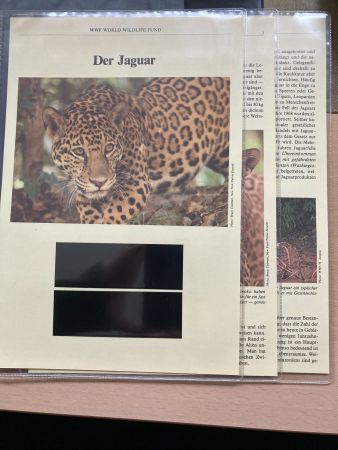 Belize 1983 WWF Jaguar Kapitel Texte