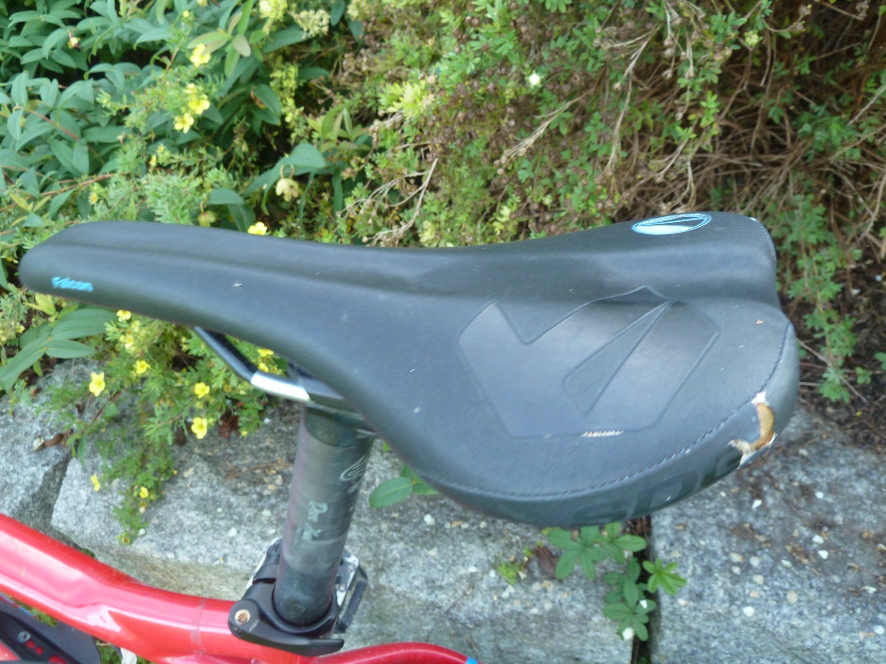 Bergamont Biciclette: MTB Fatbike Bergamont Deer Hunter – Usato da Villnachern venduto da tausendsassa02 3