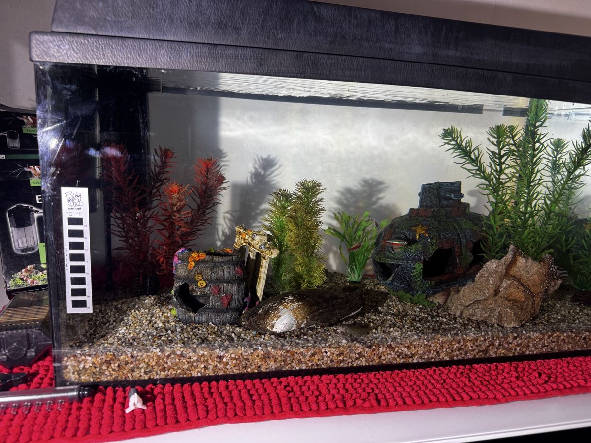 Acquari: Aquarium 60X30X30 54Liter – Difettoso da Basel venduto da bau_6tk8 1
