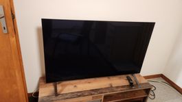LG OLED48B49LA (48", B4, OLED, 4K, 2024