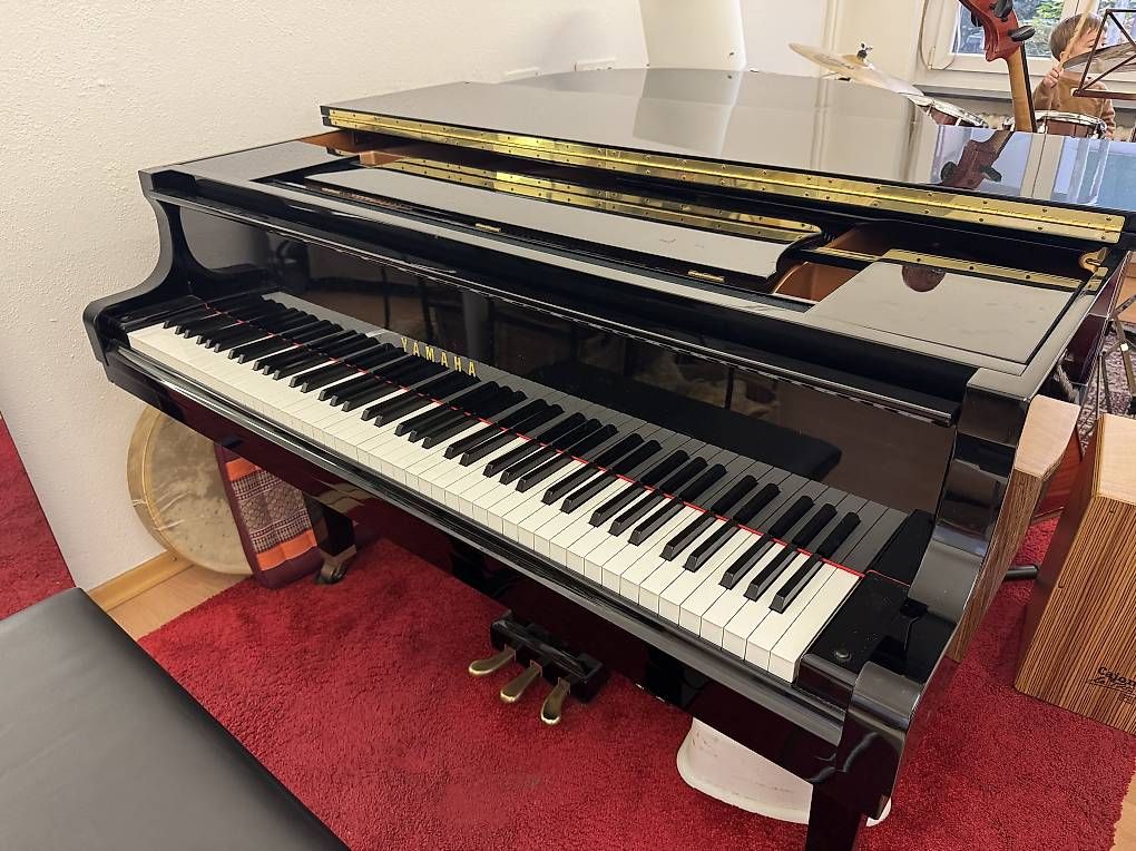 Instruments de musique: Yamaha GP1  – D'occasion à Embrach par CarlosTF 3