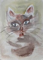 Maria Fischer Walpen, Aquarell, Katze
