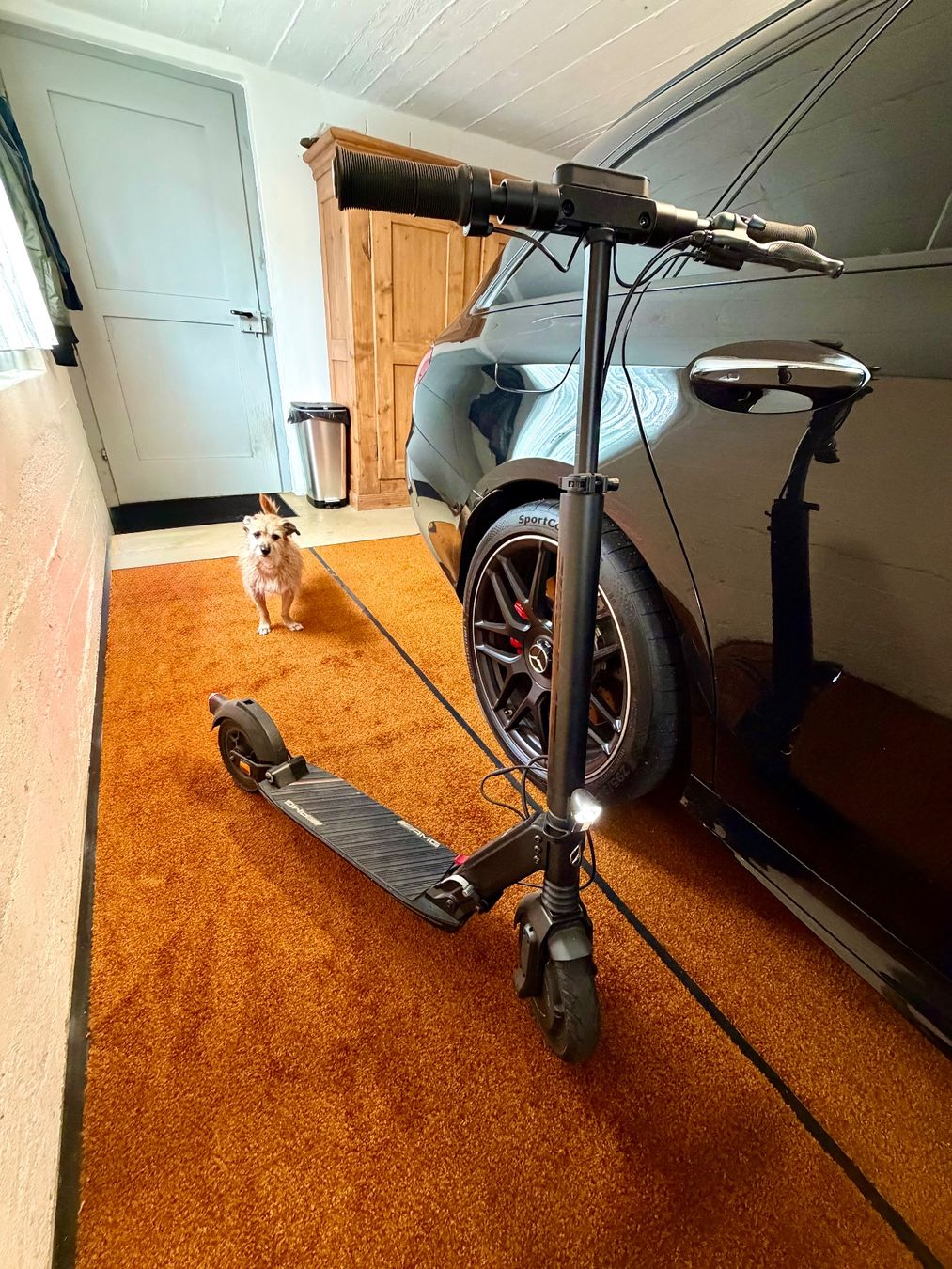 Veicoli elettrici: E Scooter AMG made by Micro Mobility – Usato da Niederdorf venduto da XxxDanixxX 4