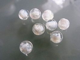 Glasperlen rosa, 6mm, glow in the dark 5 Stück