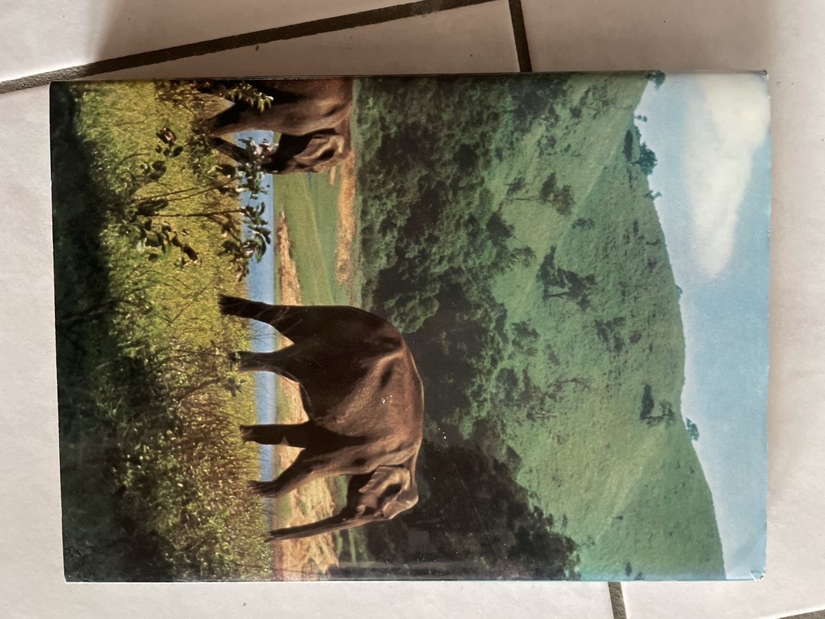 Libri: Zoo Indien von Silva – Usato da Kaiseraugst venduto da KlausSina 1