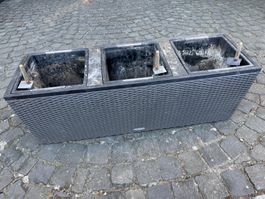 Lechuza Cottage Trio 30 - Pot avec réservoir d'eau