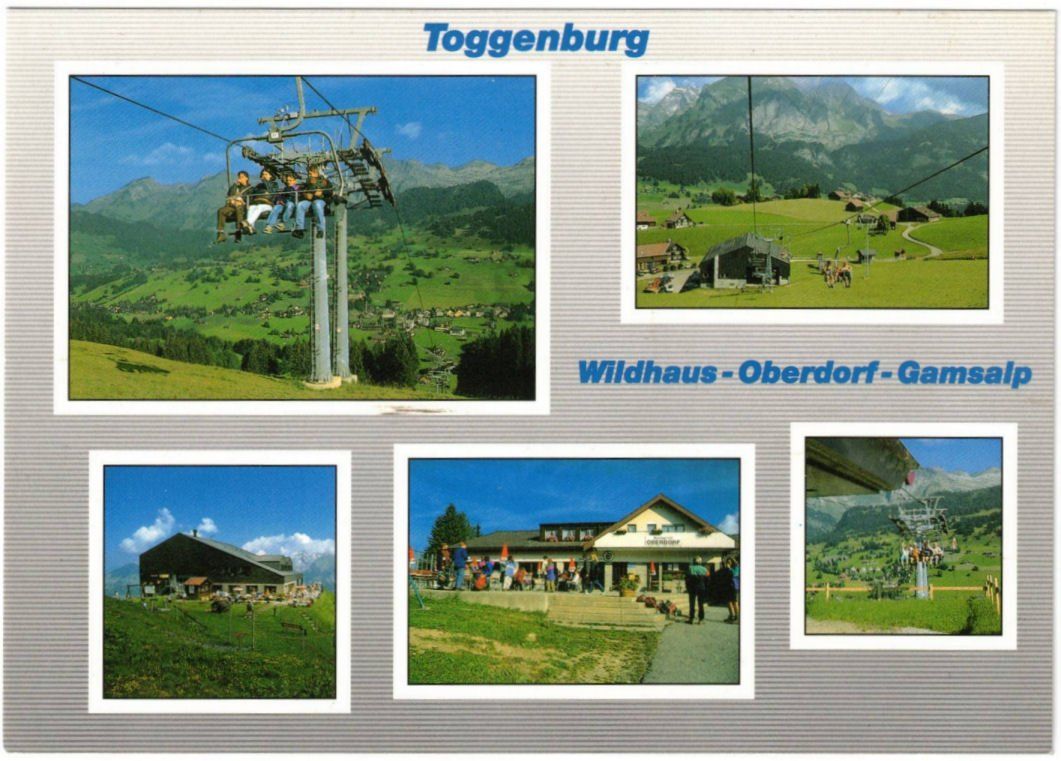 Cartoline postali: Wildhaus - 5 Bild AK – Usato da Binningen venduto da Mountainrider