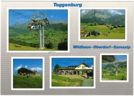 Wildhaus - 5 Bild AK