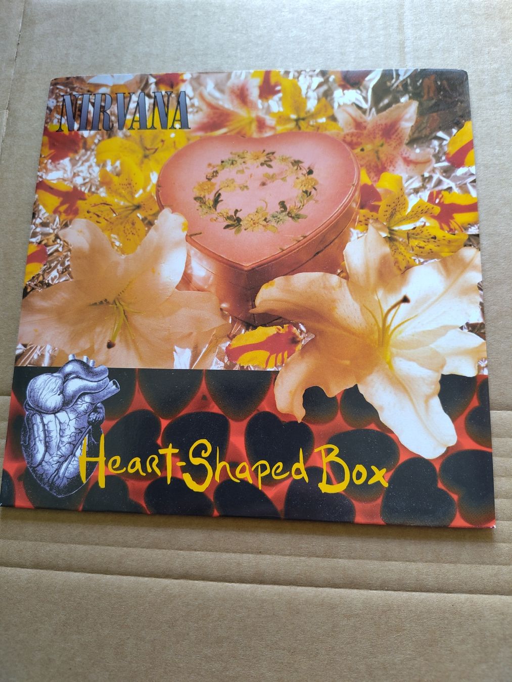 Dischi in vinile: Nirvana - Heart-Shaped Box 7" Single – Usato da Büsserach venduto da Bey23